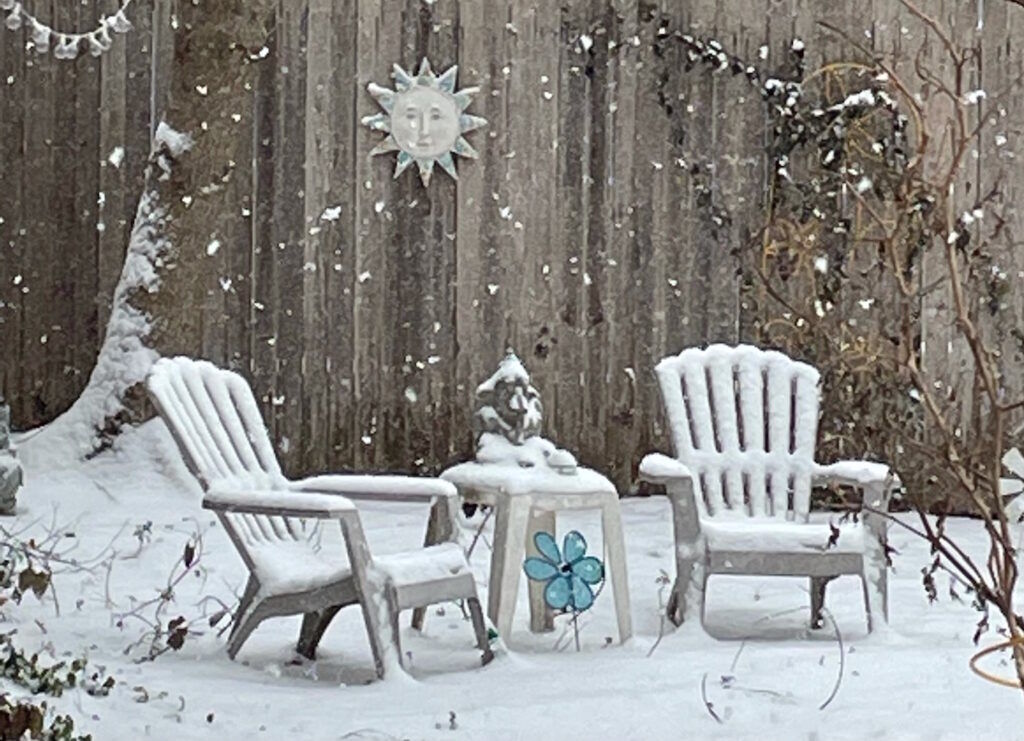 Texas winter wonderland back yard covered in snow